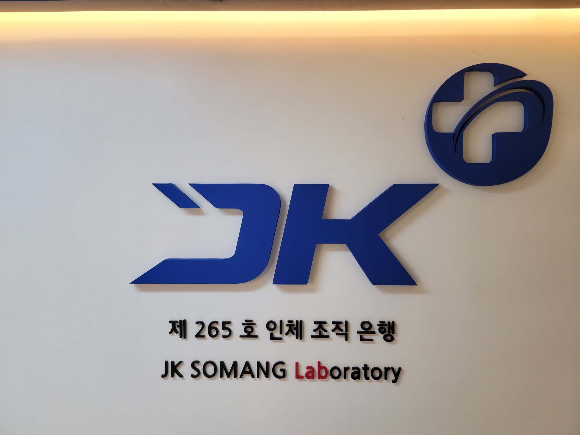 인체조직은행 (1).jpg